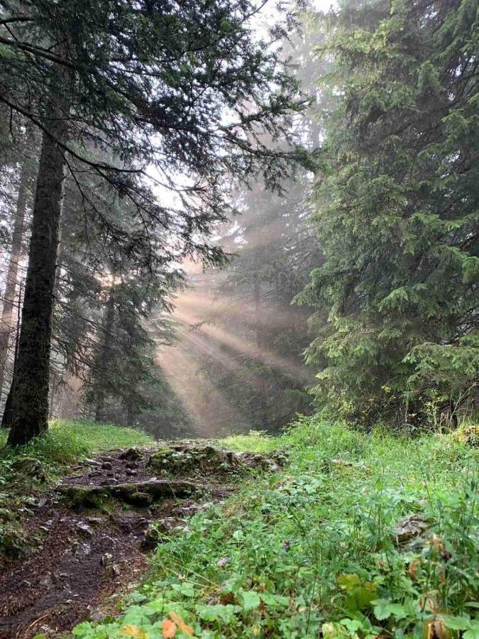 Vikendica Borje Villa Zabljak  Ngoại thất bức ảnh
