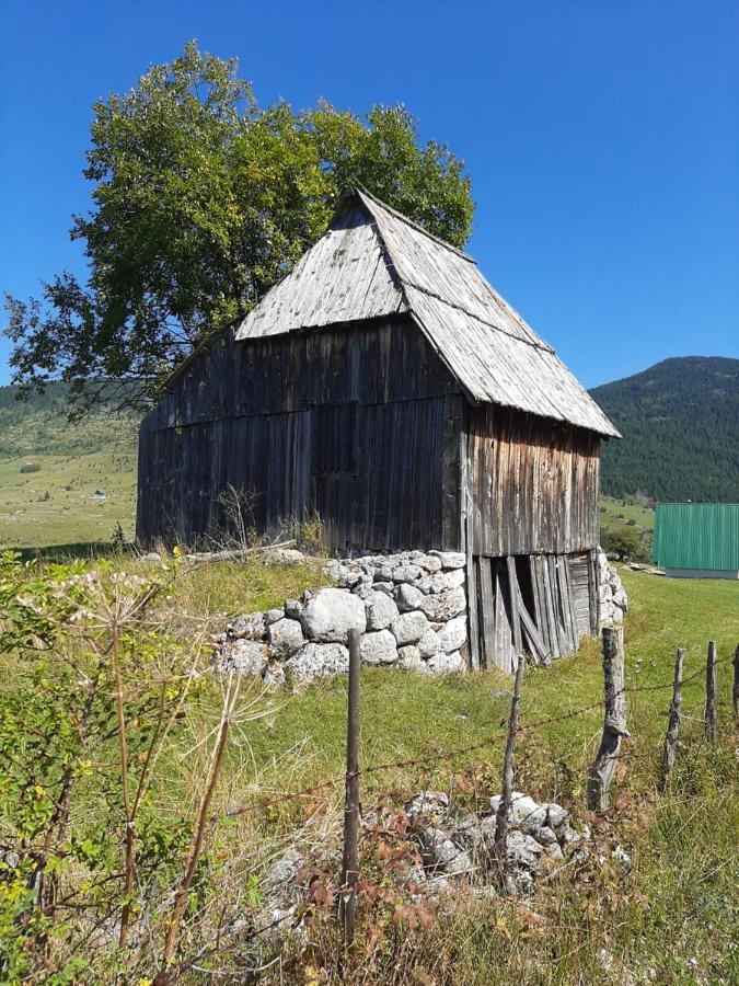 Vikendica Borje Villa Zabljak  Ngoại thất bức ảnh