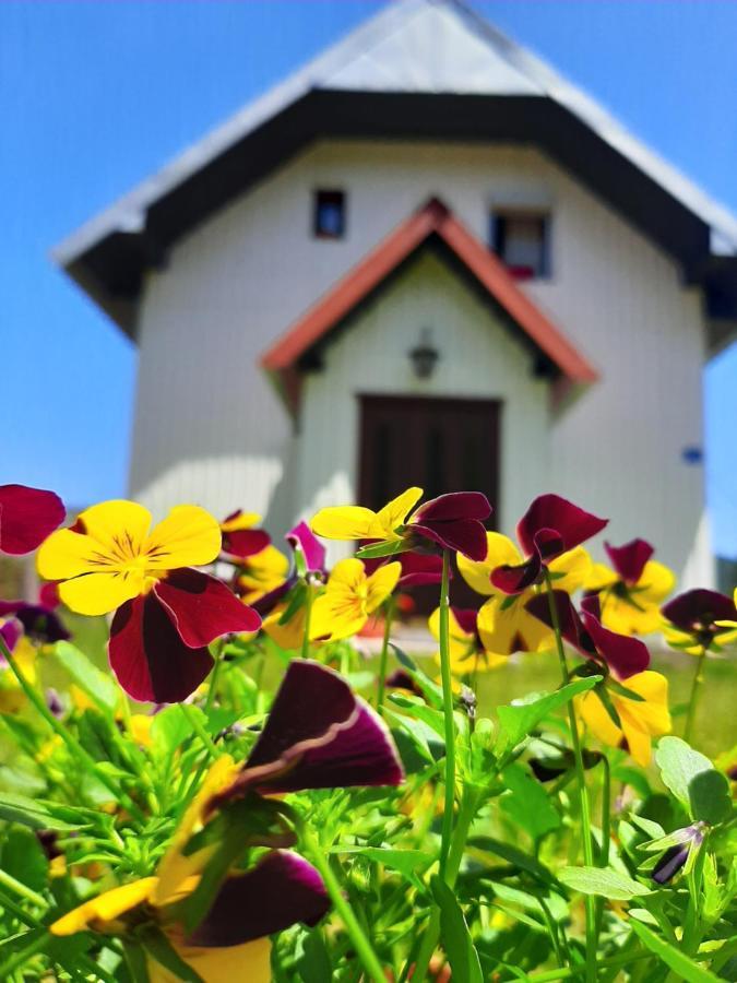 Vikendica Borje Villa Zabljak  Ngoại thất bức ảnh