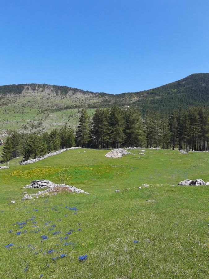 Vikendica Borje Villa Zabljak  Ngoại thất bức ảnh