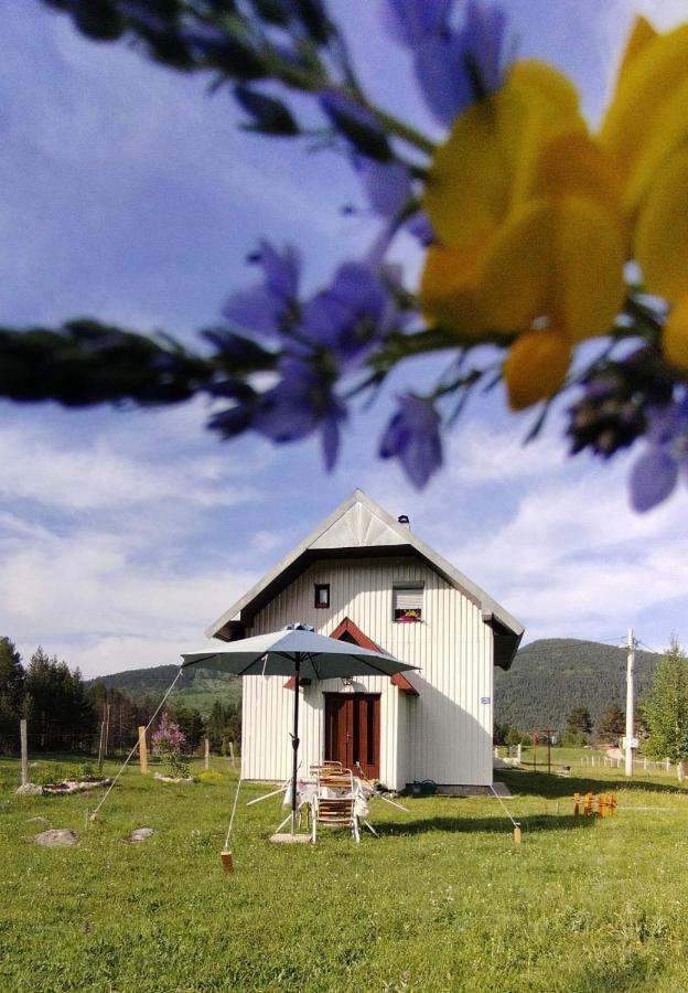 Vikendica Borje Villa Zabljak  Ngoại thất bức ảnh