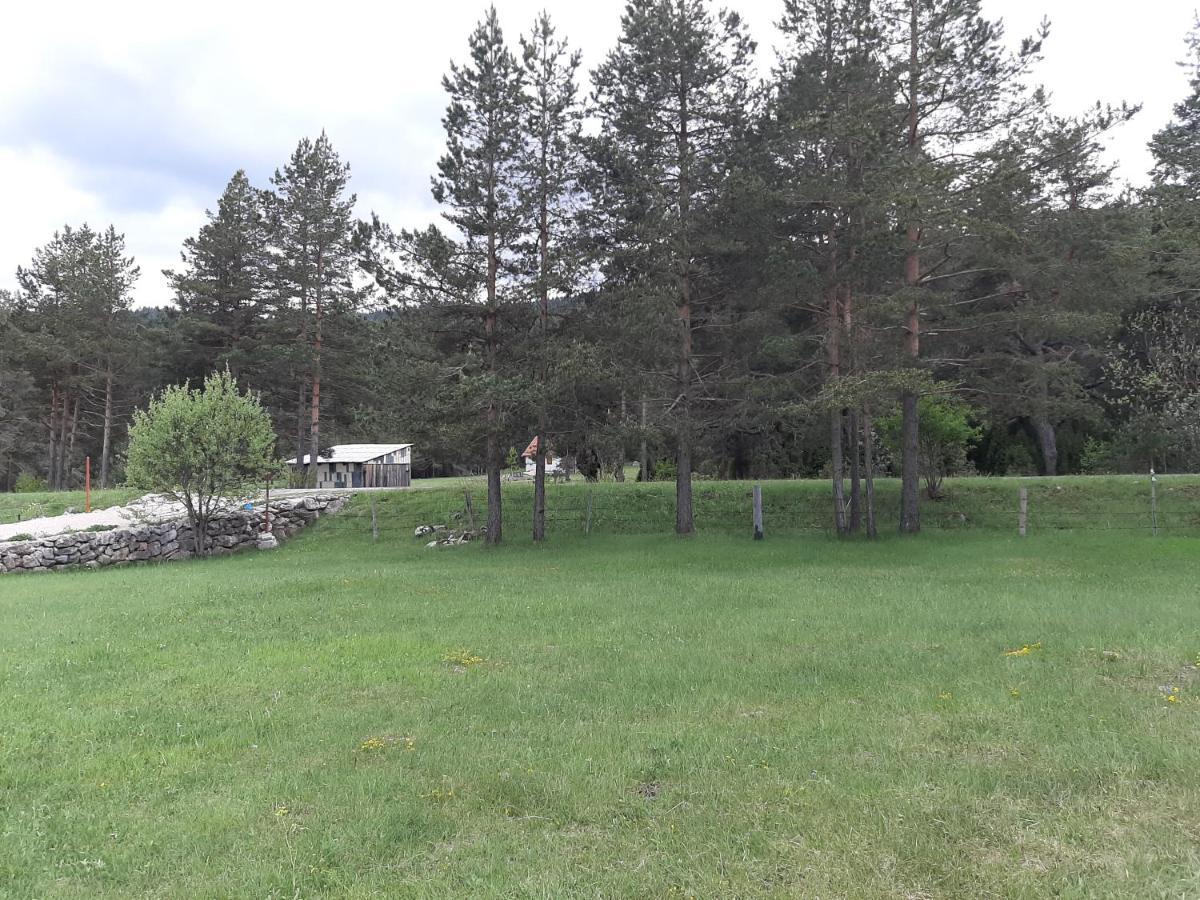 Vikendica Borje Villa Zabljak  Ngoại thất bức ảnh
